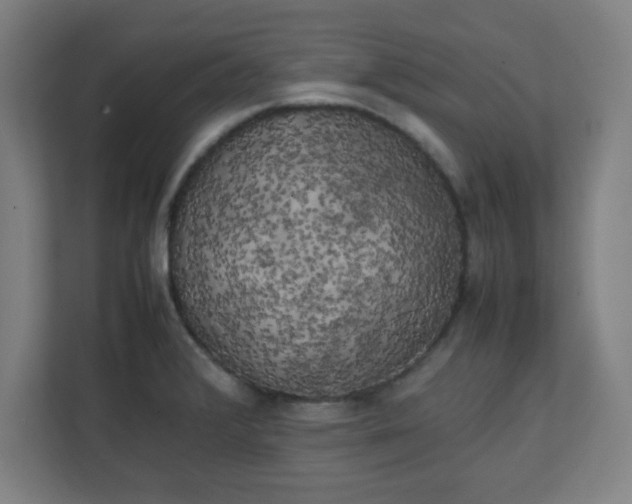 X0000111151376200907071100