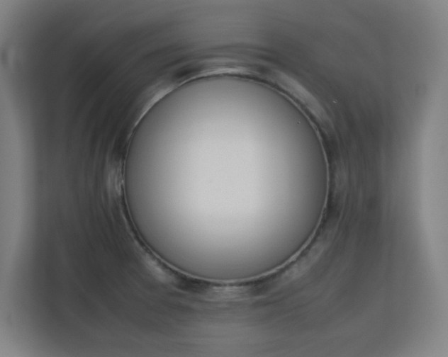 X0000111151377200907071100