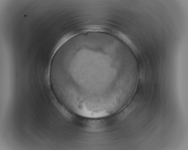 X0000111151378200907071100