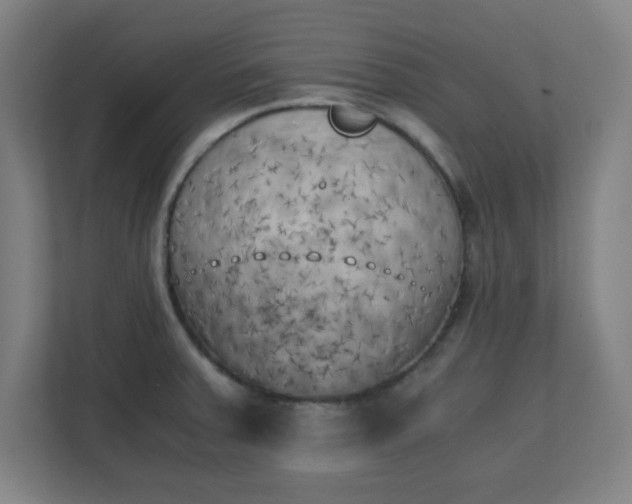 X0000111151379200907071100