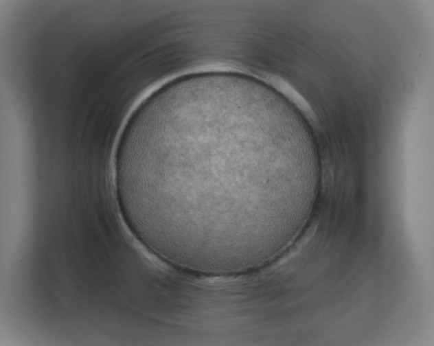 X0000111151380200907071100