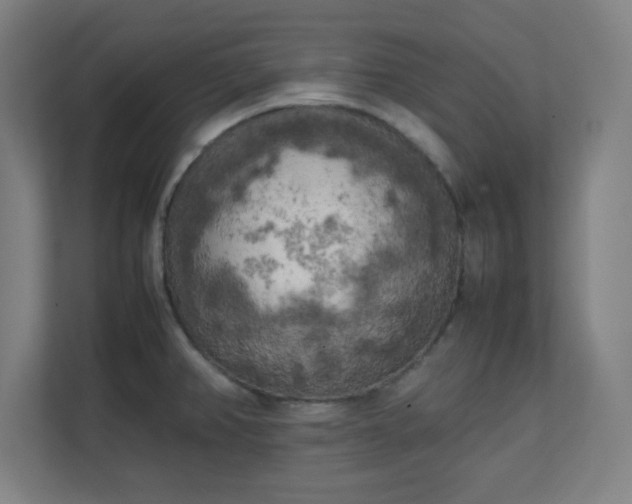 X0000111151382200907071100