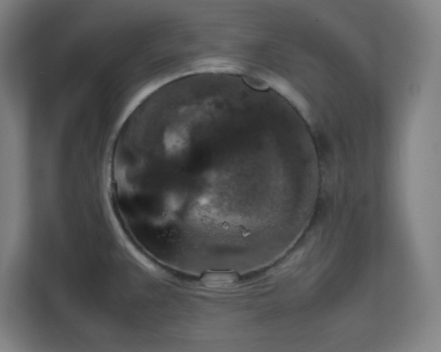 X0000111151383200907071100