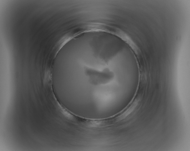 X0000111151385200907071100