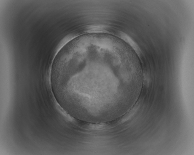 X0000111151386200907071100