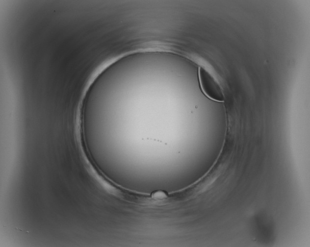 X0000111151387200907071100