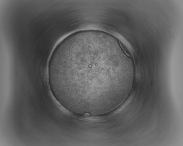 X0000111151388200907071100