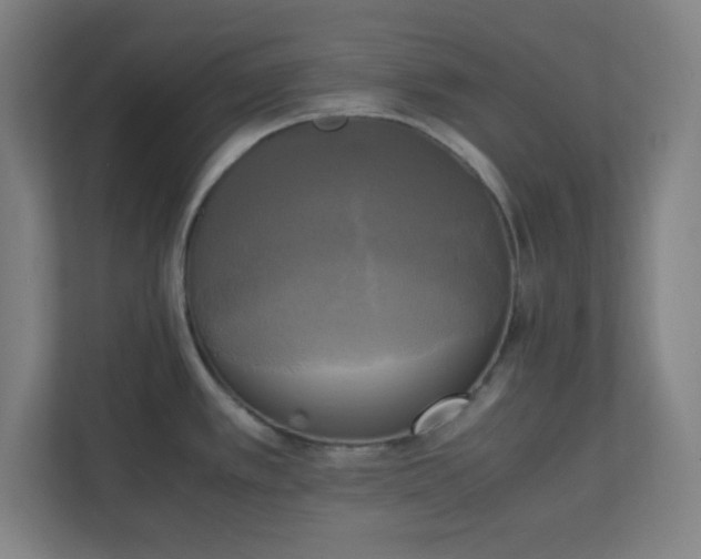 X0000111151389200907071100