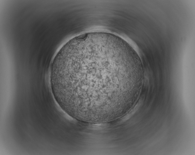 X0000111151390200907071100
