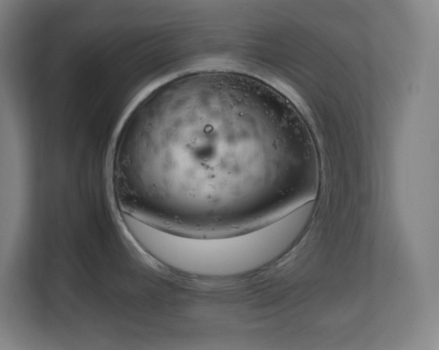 X0000111151392200907071100