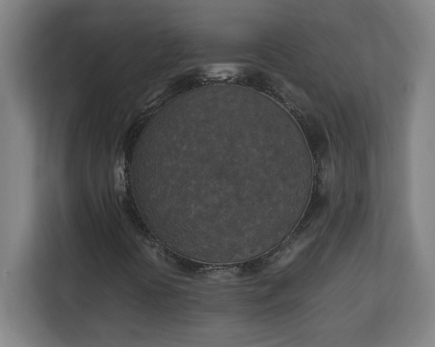 X0000111151394200907071059