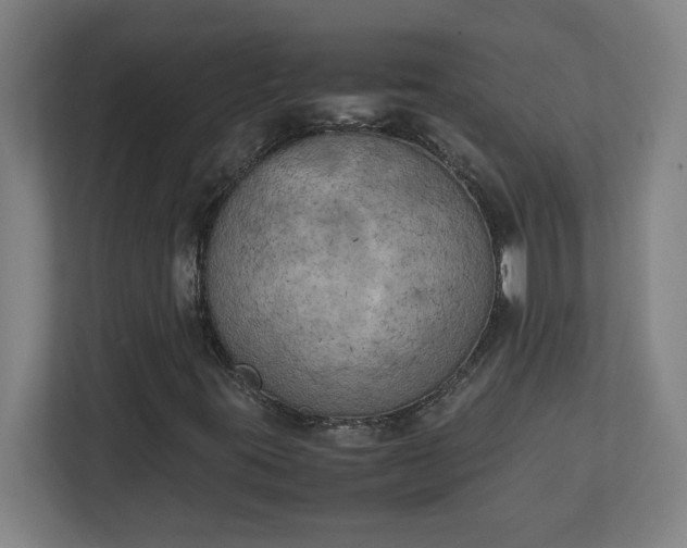 X0000111151395200907071059