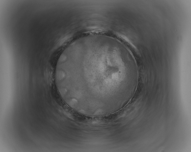 X0000111151399200907071059
