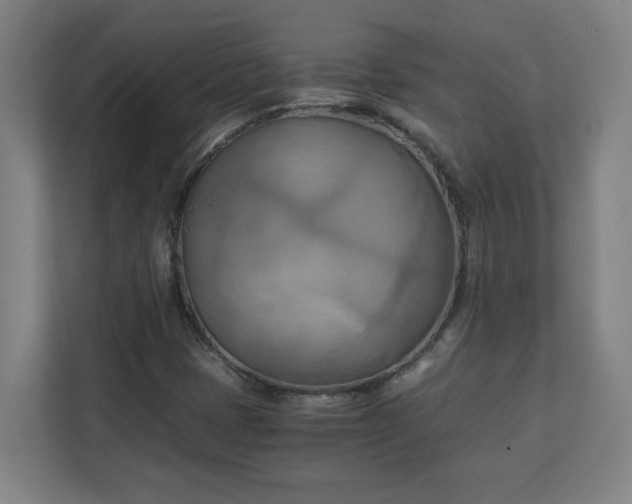 X0000111151401200907071059