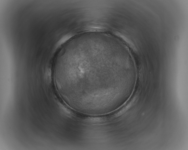 X0000111151402200907071059