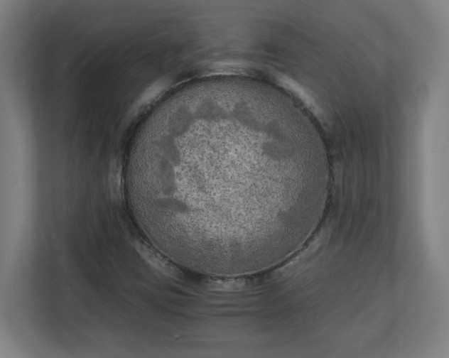 X0000111151403200907071059