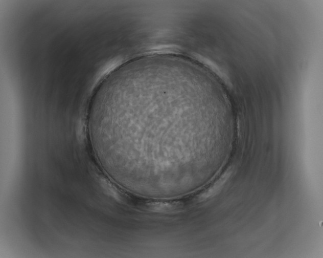 X0000111151405200907071059