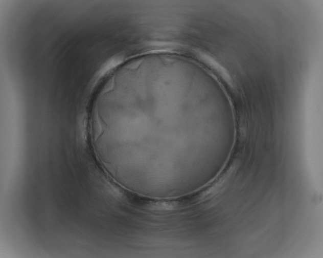 X0000111151411200907071100