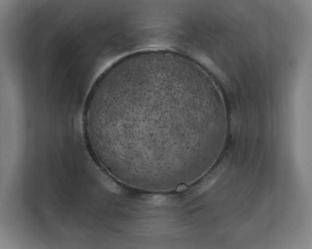 X0000111151412200907071100