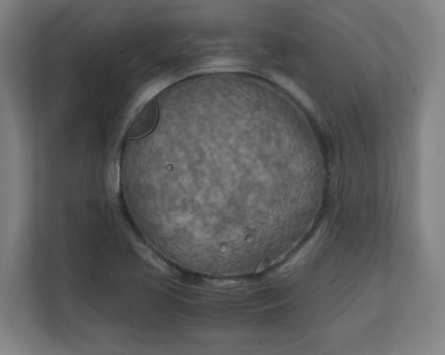 X0000111151413200907071100