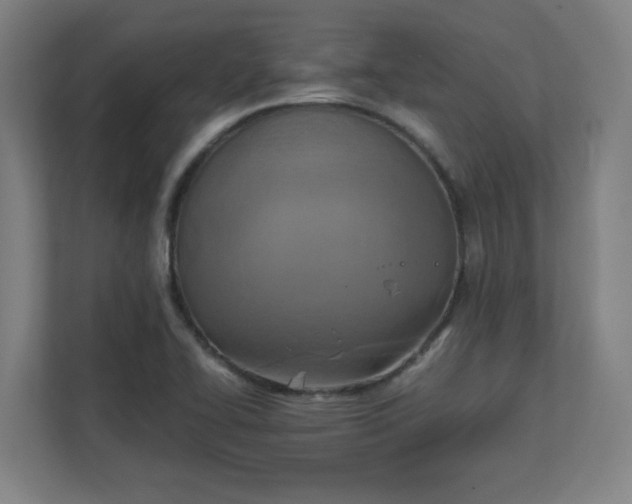 X0000111151414200907071100