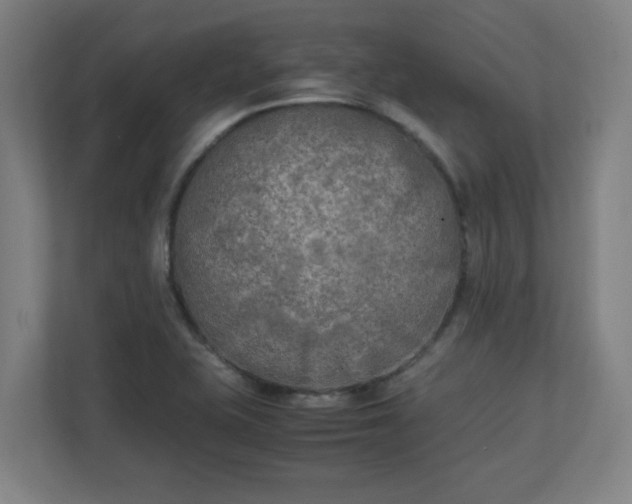 X0000111151415200907071100