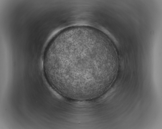 X0000111151416200907071100