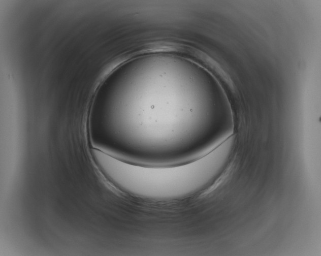 X0000111151417200907071100
