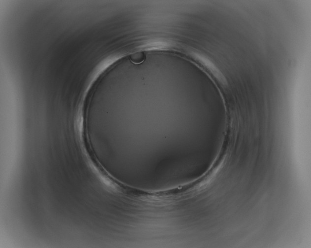 X0000111151418200907071100
