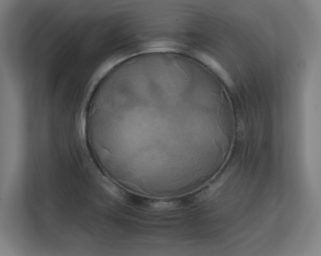 X0000111151419200907071100