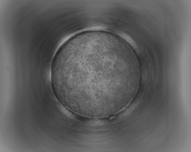 X0000111151420200907071100