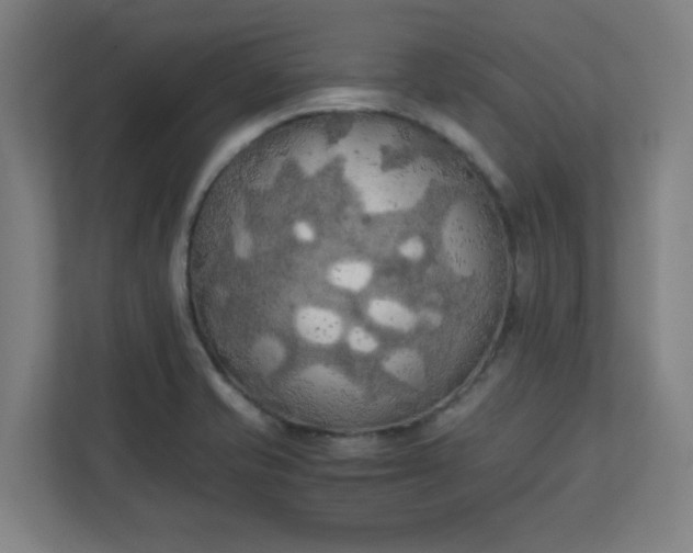 X0000111151421200907071100