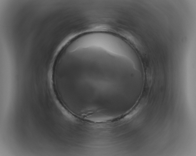 X0000111151422200907071100