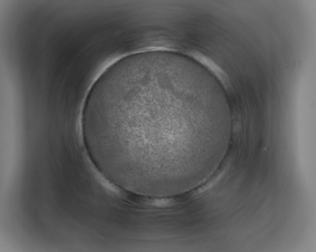 X0000111151423200907071100