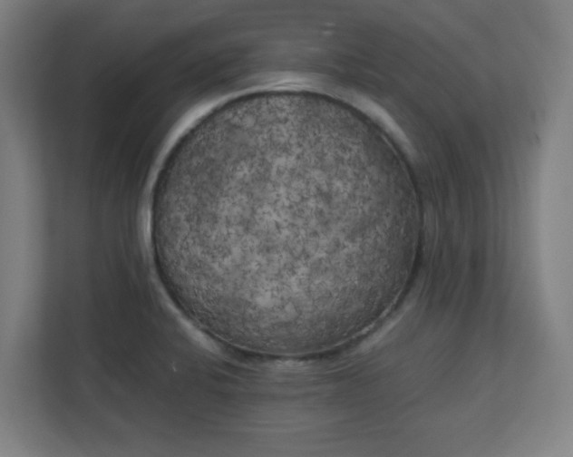 X0000111151424200907071100