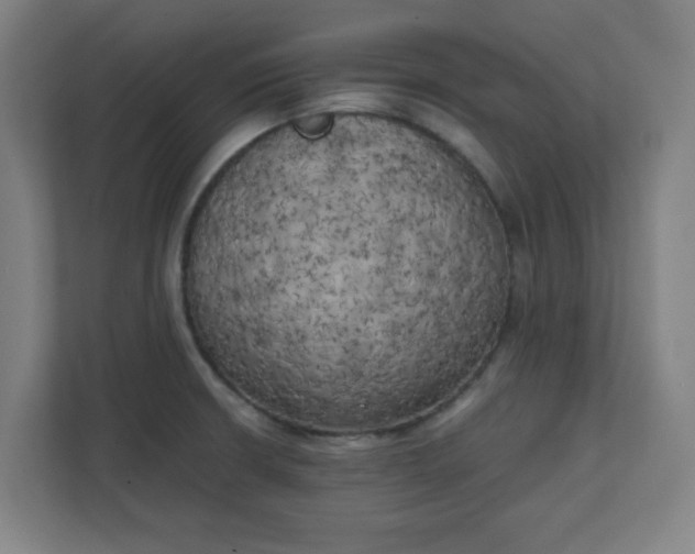 X0000111151426200907071100