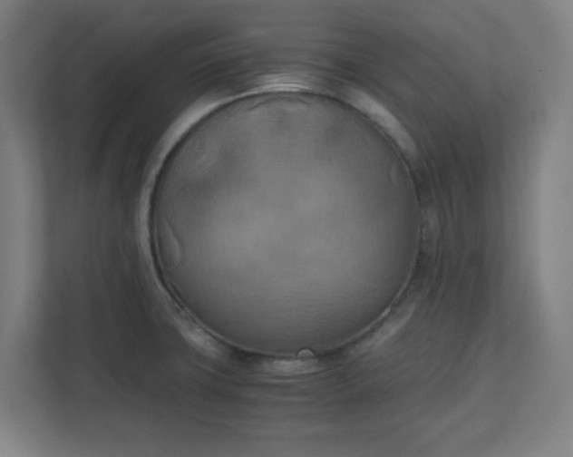 X0000111151427200907071100