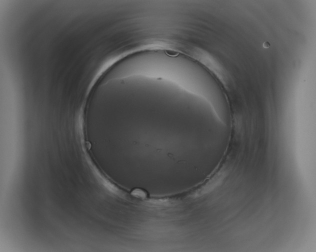 X0000111151428200907071100