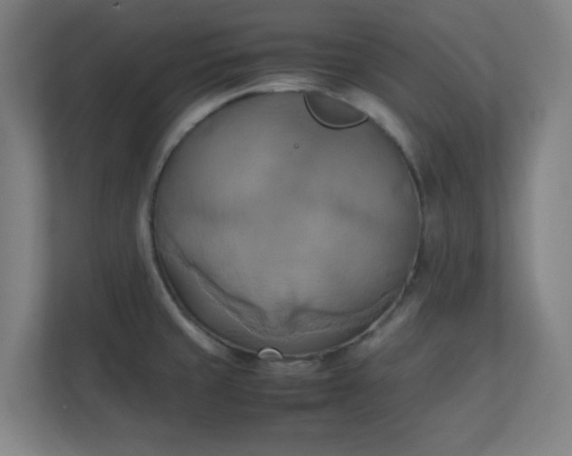 X0000111151429200907071100