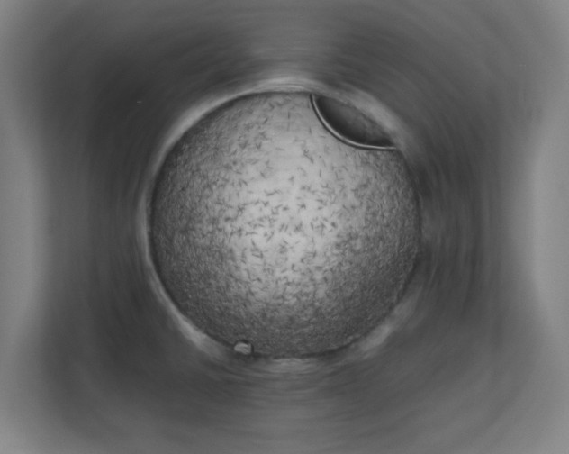 X0000111151430200907071100