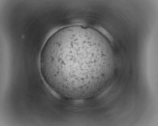 X0000111151431200907071100