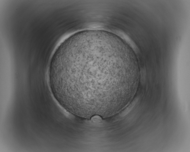 X0000111151432200907071100