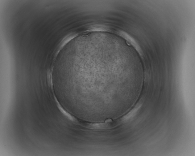 X0000111151433200907071100