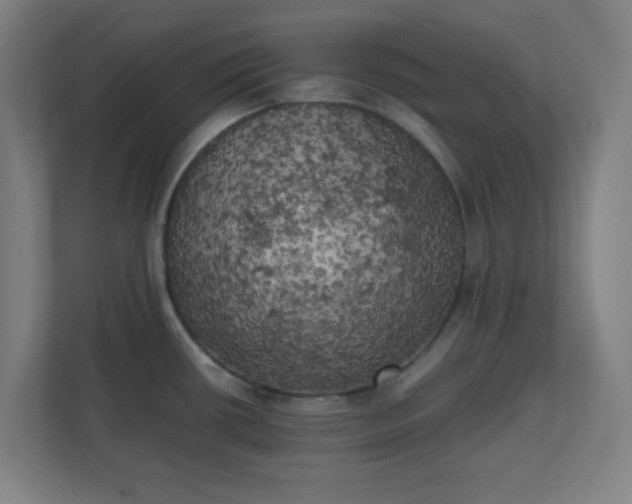 X0000111151434200907071100