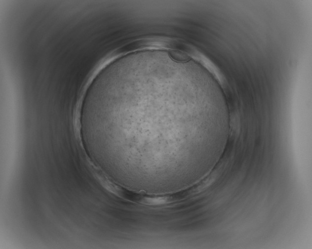 X0000111151435200907071100