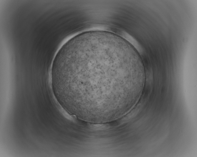 X0000111151436200907071100