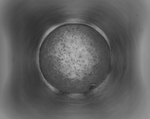 X0000111151437200907071100