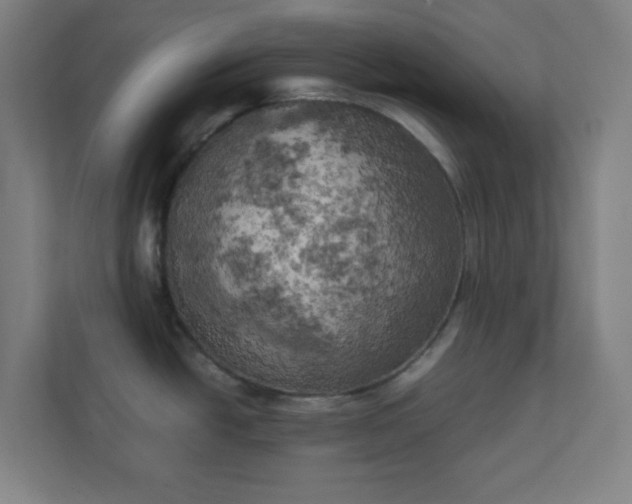 X0000111151438200907071100