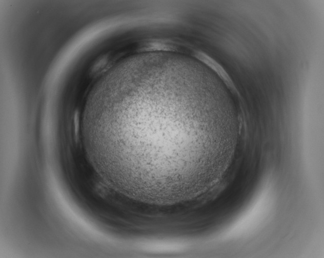 X0000111151439200907071100