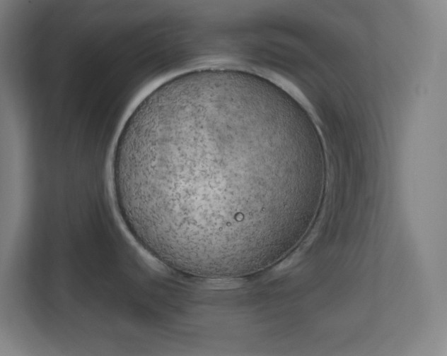 X0000111151440200907071100